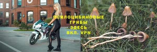 круглые Нефтегорск
