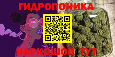 гидропоника Свободный