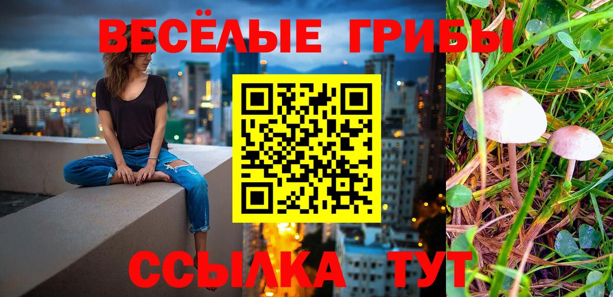 Галлюциногенные грибы GOLDEN TEACHER Сердобск