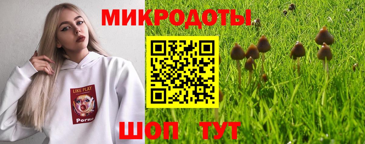 Сердобск  Галлюциногенные грибы Psilocybe  Вход с VPN  сколько стоит  Псилоцибиновые грибы Cubensis 